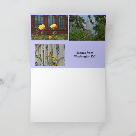 Scènes van Washington DC Kaart (Binnen)