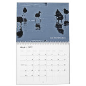 Scènes van zeestralen kalender (Mar 2027)