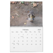 Scènes vanaf Natuur agenda Kalender (Feb 2027)