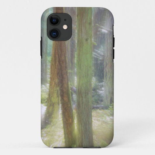 Scenic Beach State Park Case-Mate iPhone Case (Achterkant)