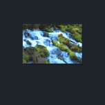 Scenic Forest Waterfall Landscape Canvas Afdruk<br><div class="desc">Accent your living space with this canvas print featuring a scenic forest waterfall photograph featuring green, mossy covered rocks and fallen logs. Customize your canvas size as desired along with frame options.</div>