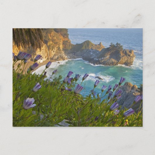 Scenic McWay Falls stort op het strand en Briefkaart (Voorkant)
