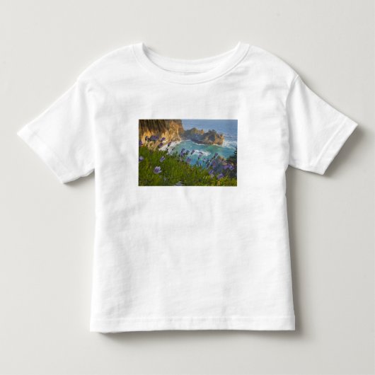 Scenic McWay Falls stort op het strand en Kinder Shirts (Voorkant)