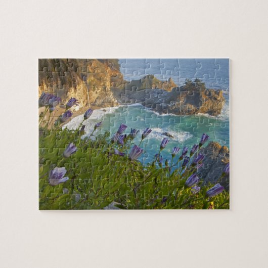 Scenic McWay Falls stort op het strand en Legpuzzel (Horizontaal)