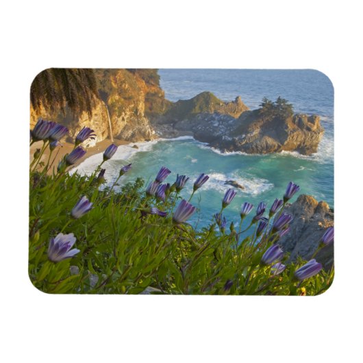 Scenic McWay Falls stort op het strand en Magneet (Horizontaal)
