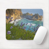 Scenic McWay Falls stort op het strand en Muismat (Met muis)