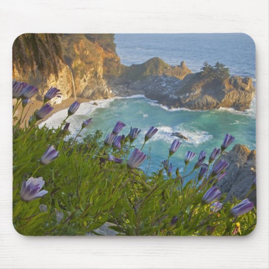 Scenic McWay Falls stort op het strand en Muismat (Voorkant)