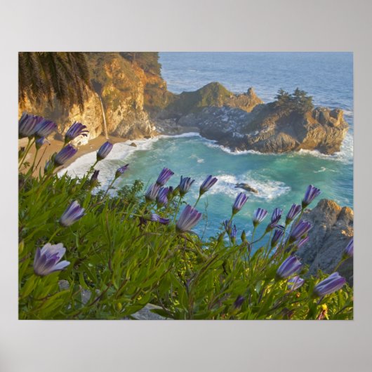 Scenic McWay Falls stort op het strand en Poster (Voorkant)