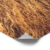 Scenic view in Mt. John summit view point, Lake T Poster (Hoek)