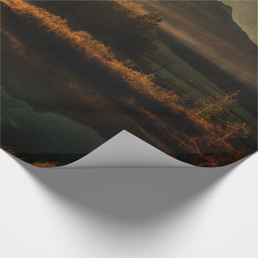 Scent Pines Cadeaupapier (Hoek)