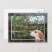 Scent van de lente briefkaart (Voorkant / Achterkant)