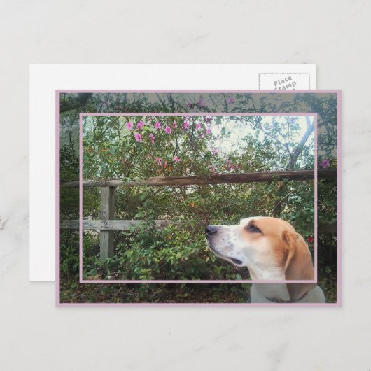 Scent van de lente briefkaart (Voorkant / Achterkant)