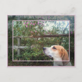 Scent van de lente briefkaart (Voorkant)