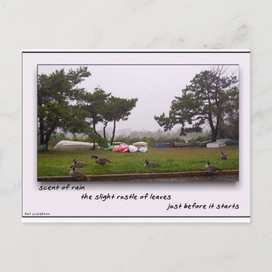 Scent van regen briefkaart (Voorkant)