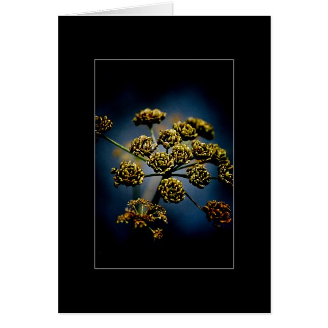 Scented Flowers (Voorkant)