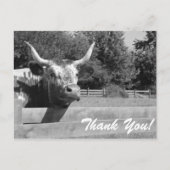 Sceptische Koe Dank u Briefkaart (Voorkant)