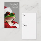 Sceptische Santa Frog Ondeugend of Leuk Naar: Van: Notitiekaartje (Voorkant / Achterkant)