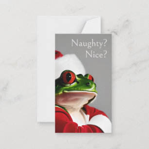 Sceptische Santa Frog Ondeugend of Leuk Naar: Van: Notitiekaartje