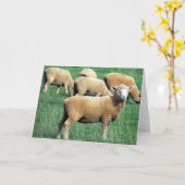 schaafglimlach kaart (Gele Bloem)