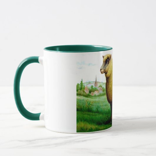 schaaflak in grasgrasland mok (Links)