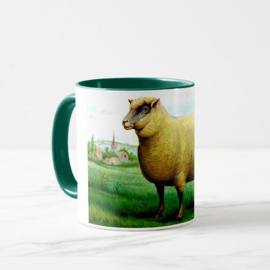 schaaflak in grasgrasland mok (Voorkant links)