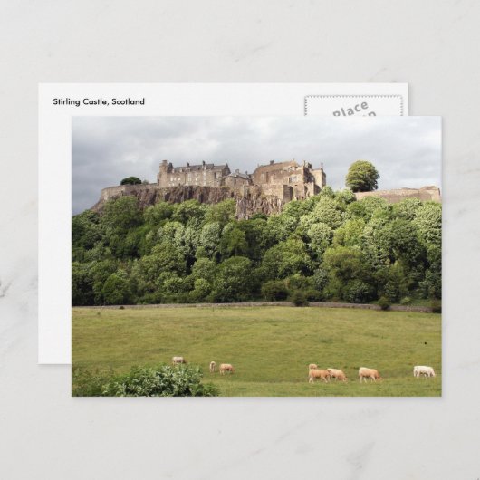 schaafschaap briefkaart (Voorkant / Achterkant)