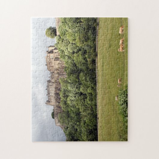 schaafschaap legpuzzel (Verticaal)