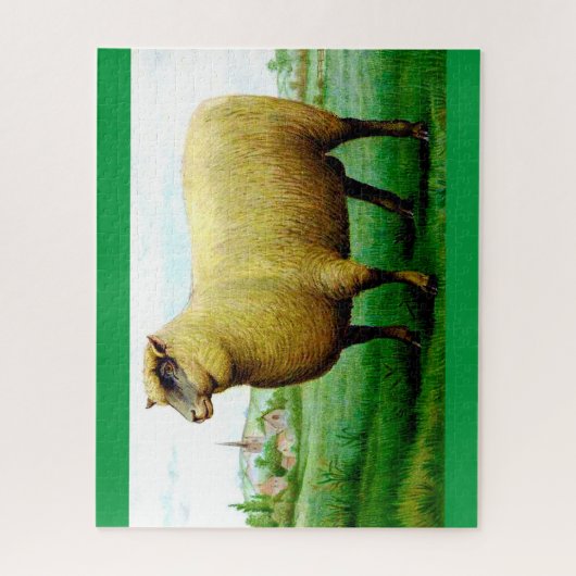  schaafschilderij legpuzzel (Verticaal)