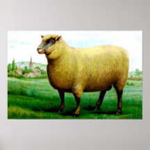schaafschilderij