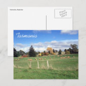 schaaftasmanie briefkaart (Voorkant / Achterkant)