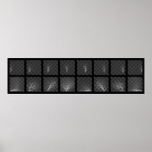 Schaakartikelen (witte zijde) poster (Voorkant)