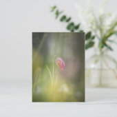 Schaakbloem Natuur Foto Briefkaart (Staand voorkant)