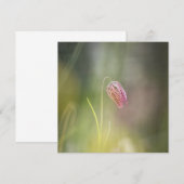 Schaakbloem Natuur Fotokaart (Voorkant / Achterkant)