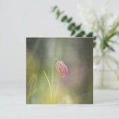 Schaakbloem Natuur Fotokaart (Staand voorkant)