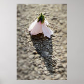 Schaakpion bloem poster (Voorkant)
