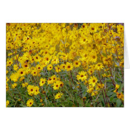 Schaakvol veld van gele bloemen