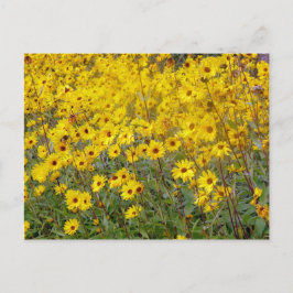Schaakvol veld van gele bloemen briefkaart