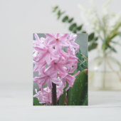 Schaakvolle roze hyacinth-ventilator na voorjaarsr briefkaart (Staand voorkant)