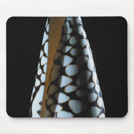 Schaal 2 muismat (Voorkant)