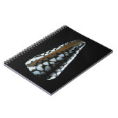 Schaal 2 notitieboek (Linkerzijde)