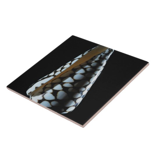 Schaal 2 tegeltje (Zijkant)