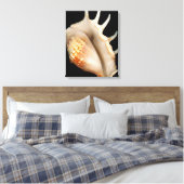 Schaal - Conchologie - Conch Canvas Afdruk (Insitu (Slaapkamer))