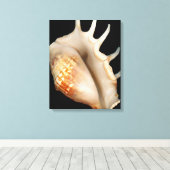 Schaal - Conchologie - Conch Canvas Afdruk (Insitu (Houten vloer))