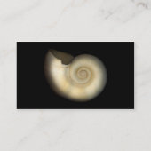 Schaal - Conchologie - Nautilus Visitekaartje (Achterkant)