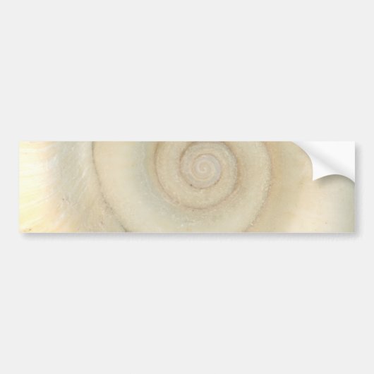 Schaal - Conchologie - Witte Spiraal Bumpersticker (Voorkant)