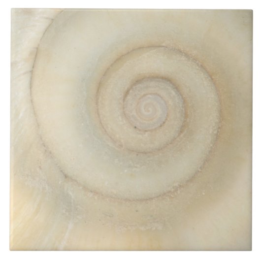 Schaal - Conchologie - Witte Spiraal Tegeltje (Voorkant)