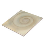 Schaal - Conchologie - Witte Spiraal Tegeltje (Zijkant)