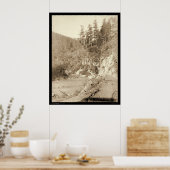 Schaal op de weg Deadwood naar Sturgis SD 1888 Poster (Keuken)