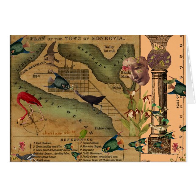 Schaal van de pillars (Voorkant Horizontaal)