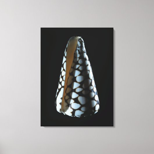 Schaal van één stuk 2 canvas afdruk (Voorkant)